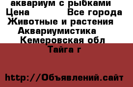 аквариум с рыбками › Цена ­ 1 000 - Все города Животные и растения » Аквариумистика   . Кемеровская обл.,Тайга г.